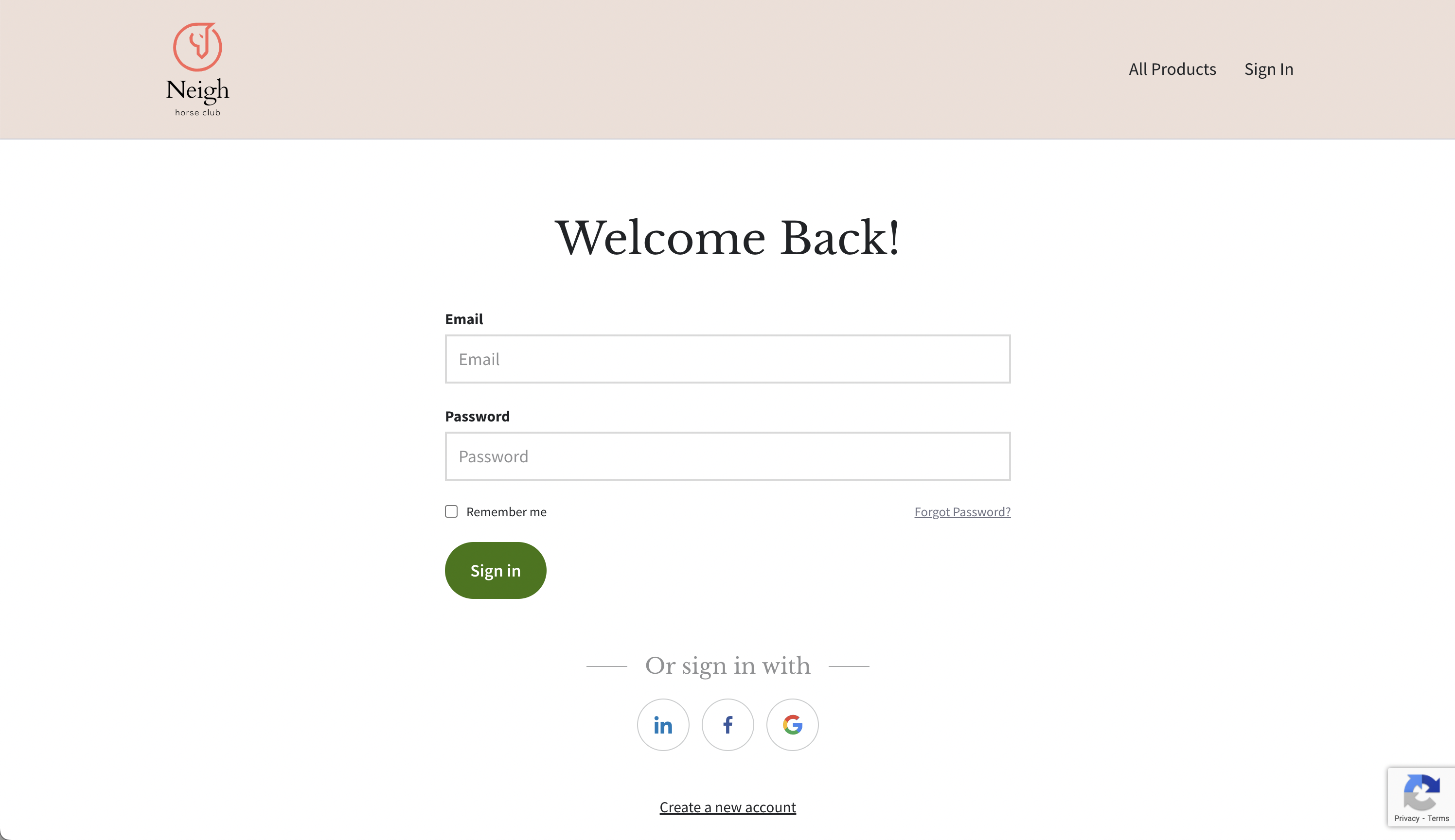 Sign_in_page.png